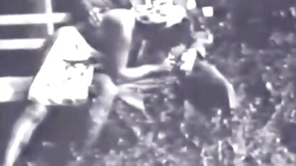 Curly acasalam com um filme pornô de americana homem à frente da Câmara.