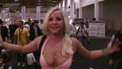 Foder uma bela morena na porno sul americano vagina.
